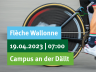fleche-web@5x